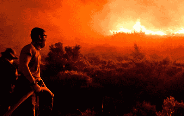 В Греции эвакуировали сотни людей из-за лесного пожара