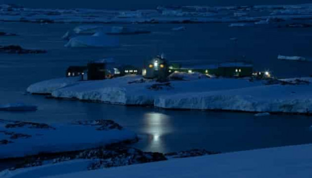 Для помощи «боевым пингвинам» объявили новый благотворительный аукцион