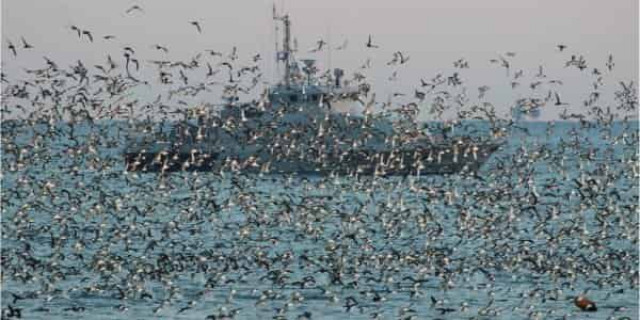 Затопленные лодки, сбитые ракеты