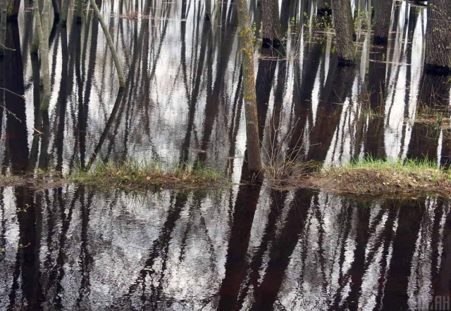 Стало відомо про катастрофічну ситуацію у Голій Пристані: під завалами є тіла загиблих
