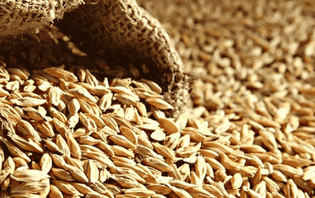 Deutsche Bahn будет вывозить зерно из Украины