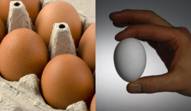 Швидше псуються: дуже часто яйця у холодильнику зберігають неправильно
