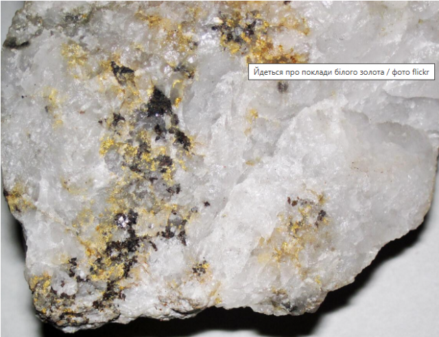 У США виявили величезне родовище цінного металу вартістю 540 млрд доларів
