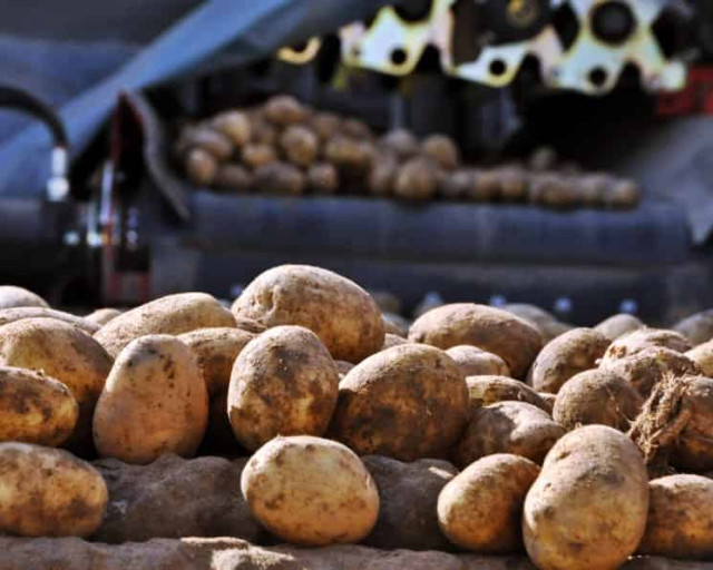 Украинцам рассказали, что происходит с аграрным импортом во время войны
