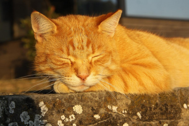 Синоптикиня назвала дату, коли в Україні буде пік найтеплішої погоди
