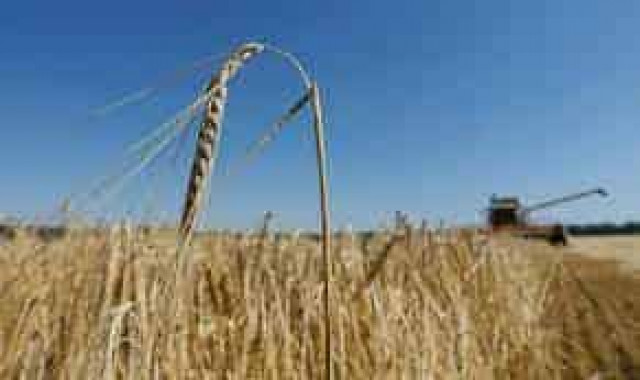 Литва предлагает военно-морскую коалицию для снятия блокады РФ и экспорта украинского зерна