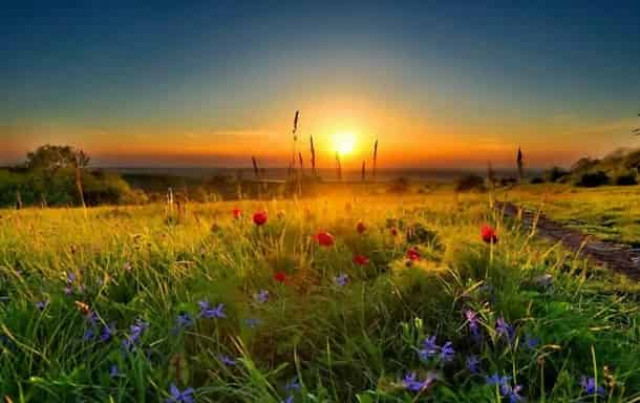 Какой праздник 25 июня 2020