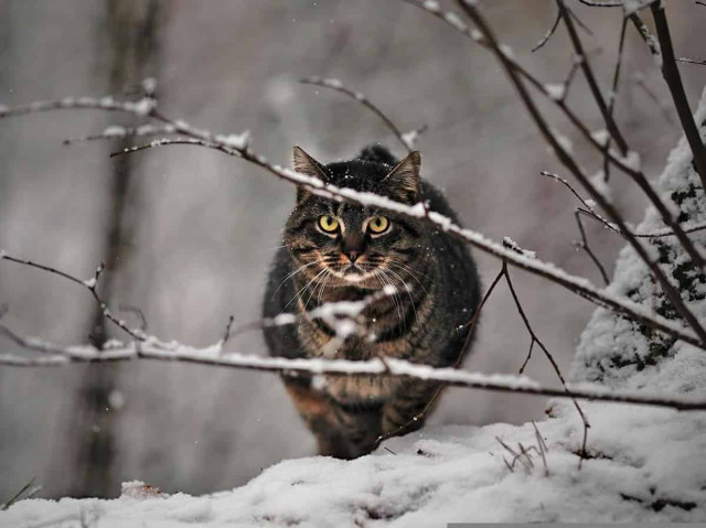 Синоптик назвала точну дату відчутного похолодання в Україні
