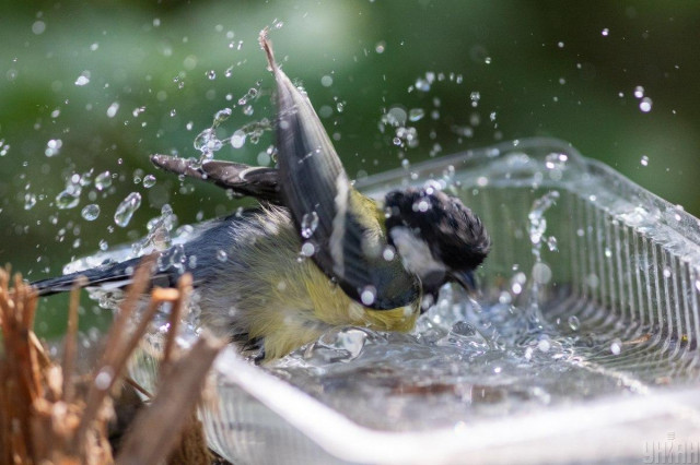 Коли спека в Україні ослабне: синоптикиня назвала точну дату
