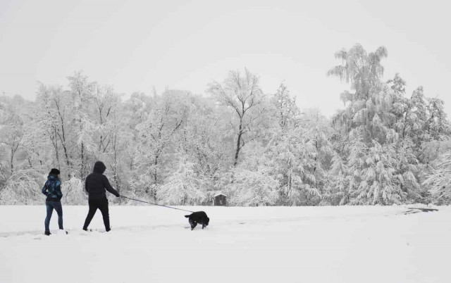 До України йдуть ще два циклони: названо точні дати, коли вони вдарять
