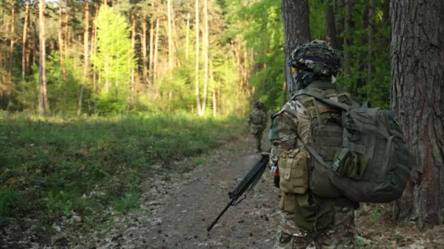 Загинули, борючись за Україну: WP назвала кількість вбитих добровольців зі США
