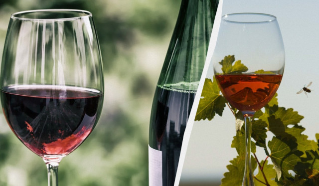 Як краще замовляти вино в ресторані: поради від досвідченого сомельє
