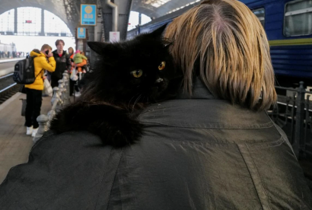 Посол розповів, скільки українців збираються повернутися з Польщі після закінчення війни

