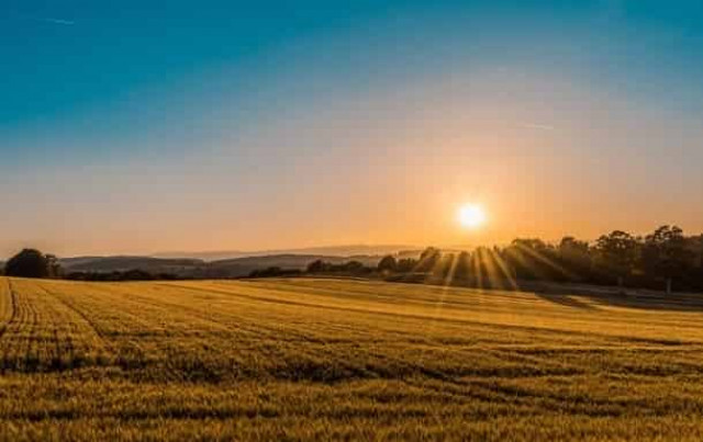 Министр рассказал, что нужно для продажи земли