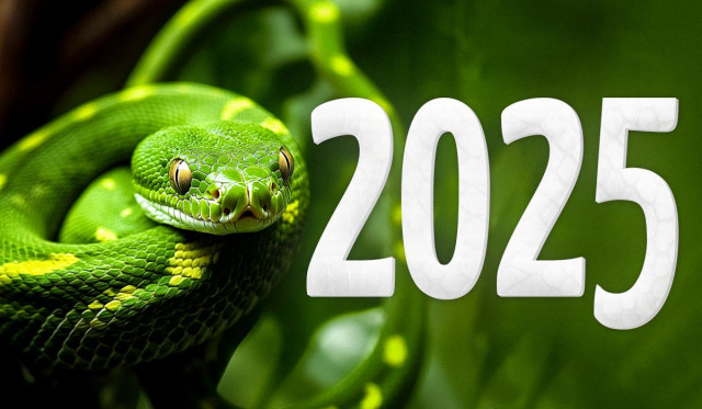 Чий рік 2025 за китайським календарем: прогноз для України, вдалі дні, заборони
